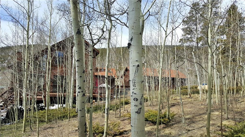 505 Warm Springs Road Fairplay, CO 80440 - Photo 34 of 35 Gallery Image 34