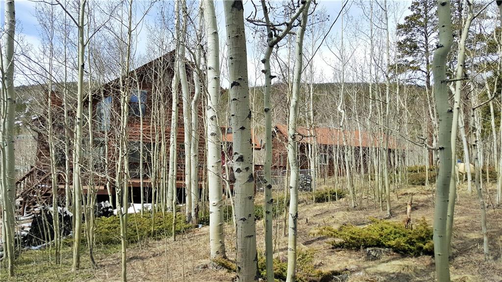 505 Warm Springs Road Fairplay, CO 80440 - Photo 35 of 35 Gallery Image 35