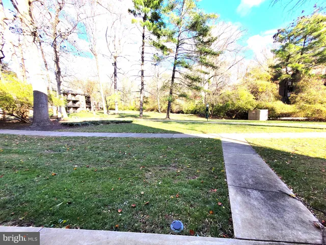 a view of yard with large trees