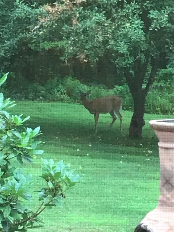 331 Millay Road Bowdoinham, ME 04008 - Photo 35 of 35 Enjoy the wildlife that comes with...