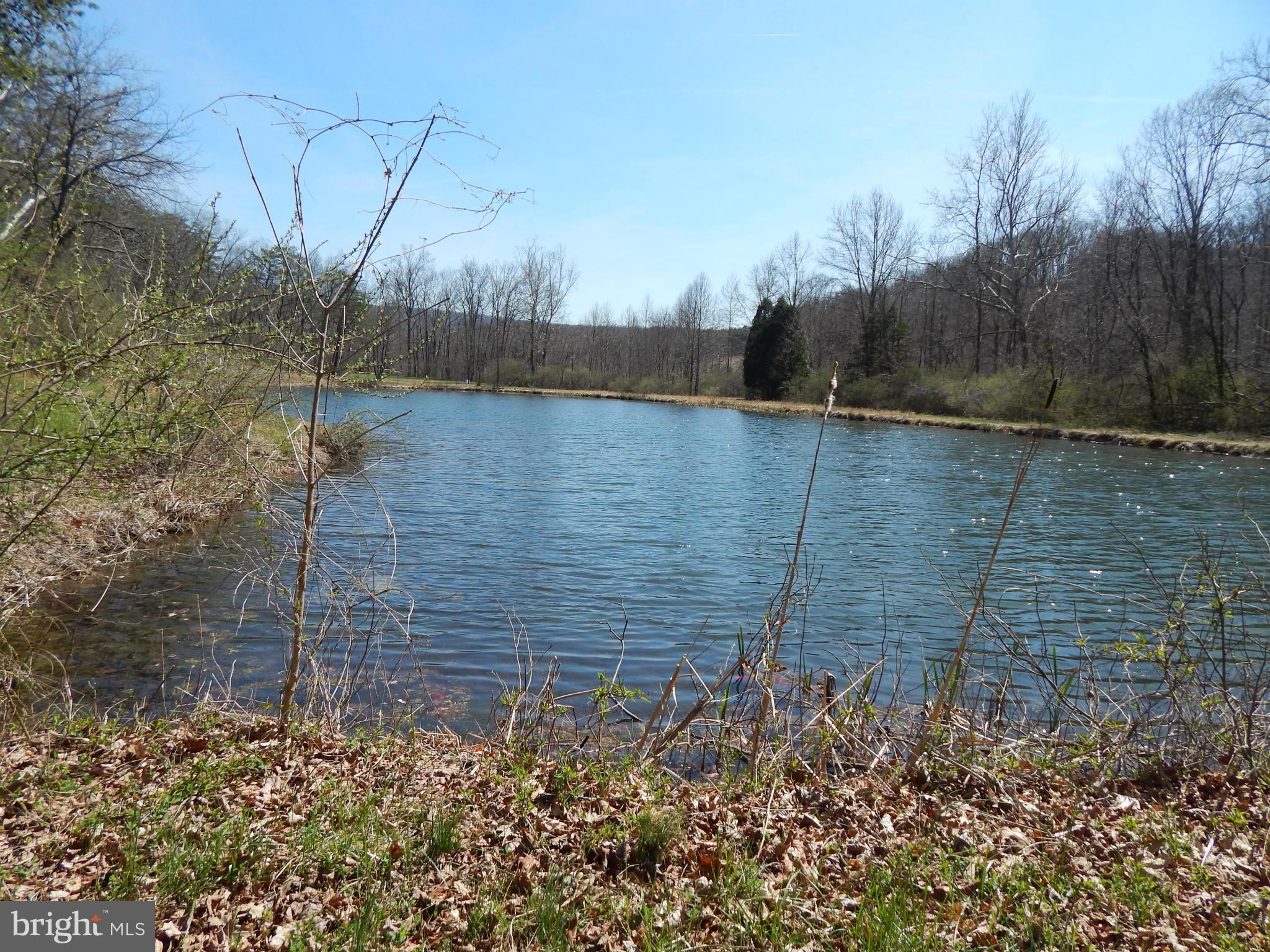 Highland Ridge Road Berkeley Springs, WV 25411 - Photo 11 of 11 a view of a pathway both side of a lake view