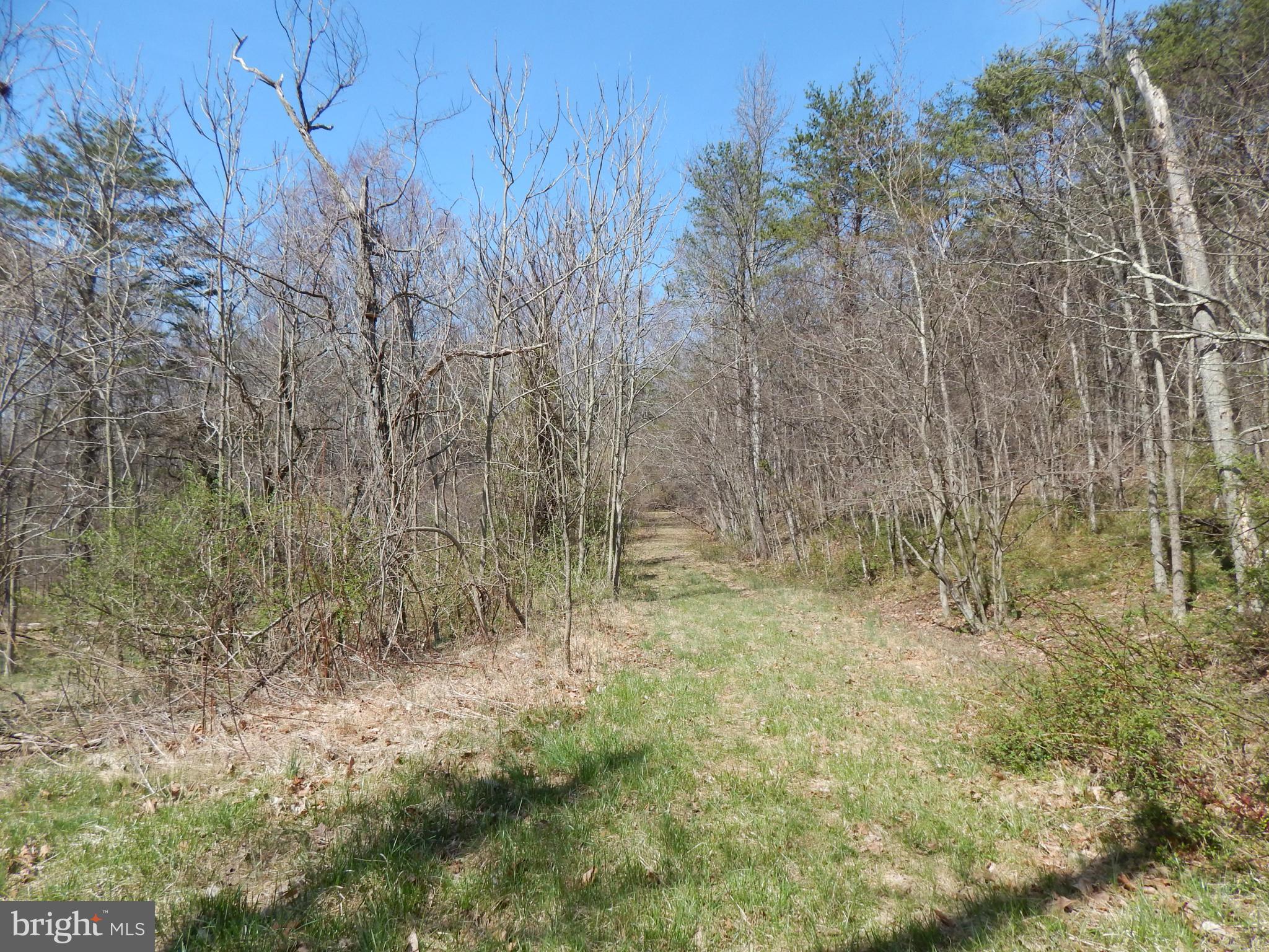 Highland Ridge Road Berkeley Springs, WV 25411 - Photo 4 of 11 a view of small yard