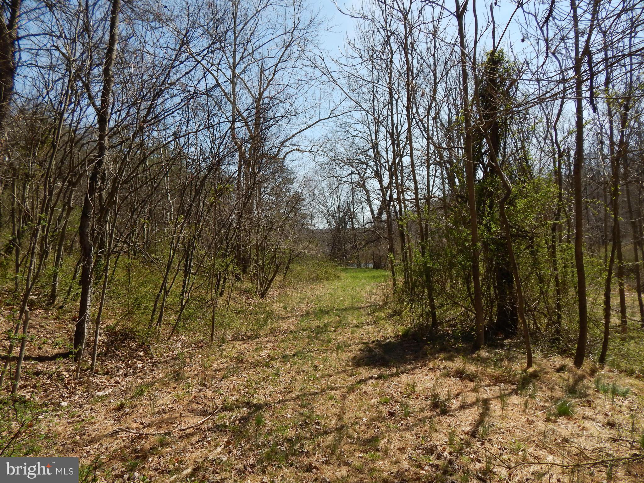 Highland Ridge Road Berkeley Springs, WV 25411 - Photo 5 of 11 a view of a yard with large trees