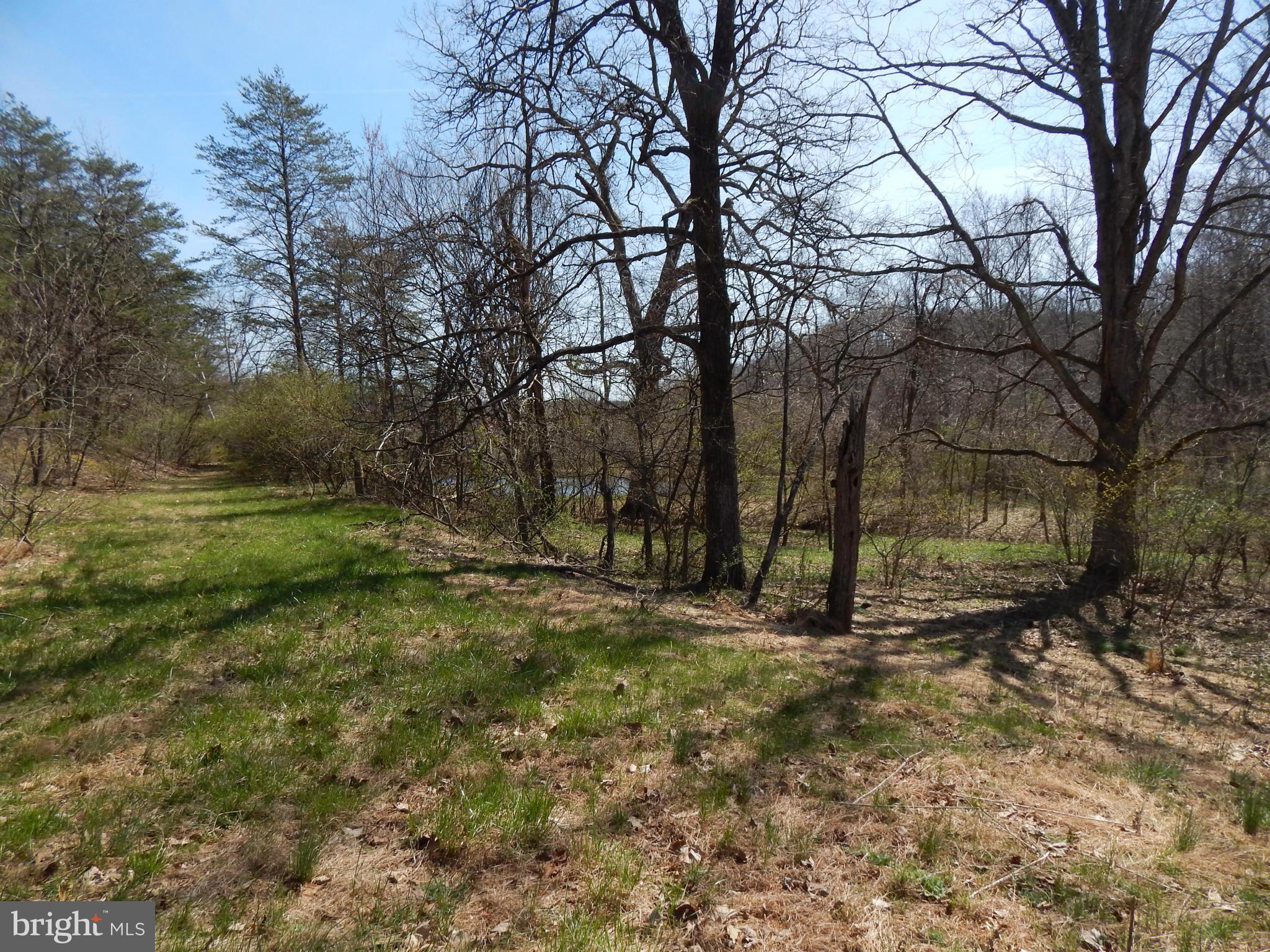 Highland Ridge Road Berkeley Springs, WV 25411 - Photo 7 of 11 a view of backyard of house