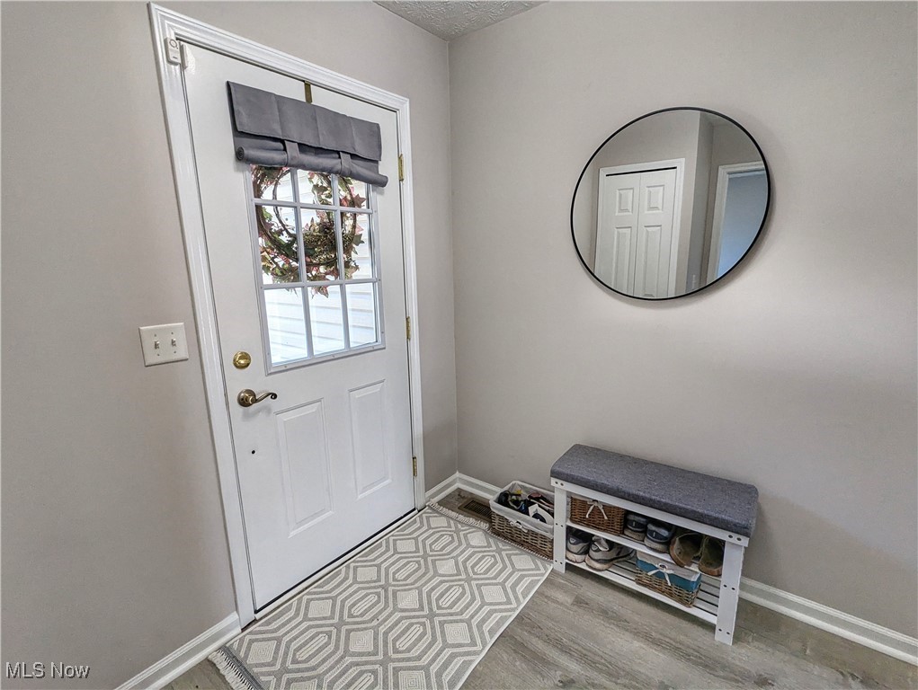 37625 Sandy Ridge Drive North Ridgeville, OH 44039 - Photo 2 of 44 Entryway featuring light hardwood / wood-style flooring