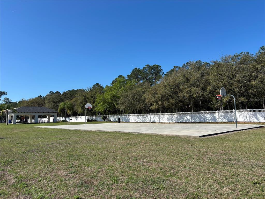 5128 Hartwell Loop Land O' Lakes, FL 34638 - Photo 41 of 43