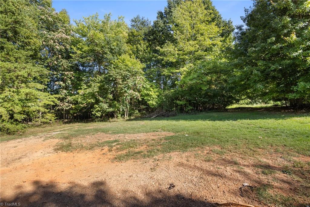 9847 Park Springs Road Ruffin, NC 27326 - Photo 20 of 20 Large rear yard