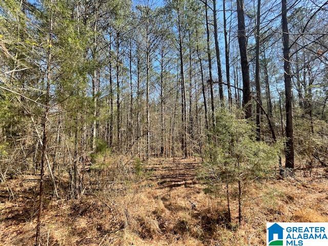140 County Road, Unit 27± AC Wadley, AL 36276 - Photo 5 of 8