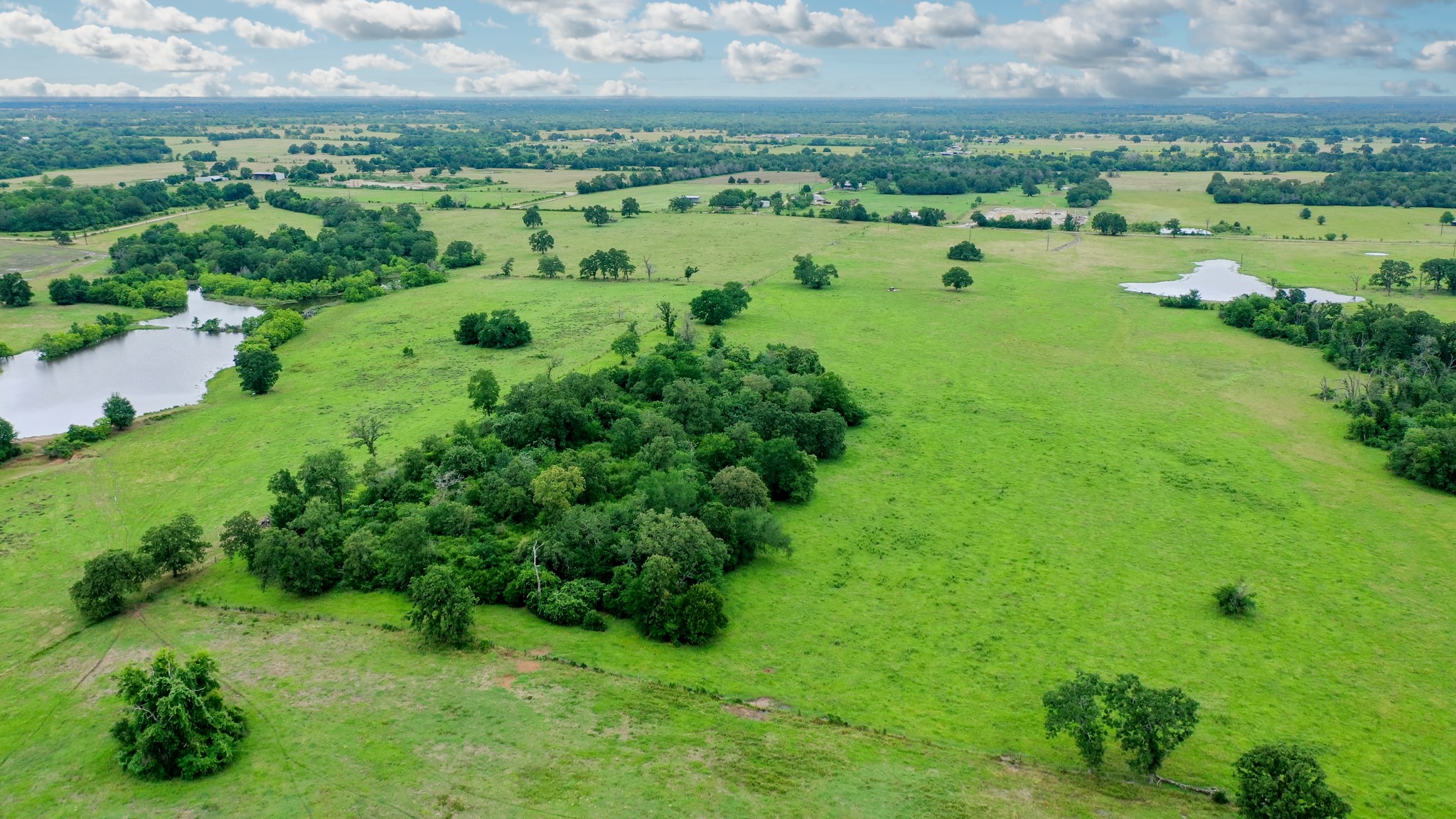 0 Pleasant Grove Road Iola, TX 77861 - Photo 4 of 18 a view of a green field with lots of plants and trees in the background