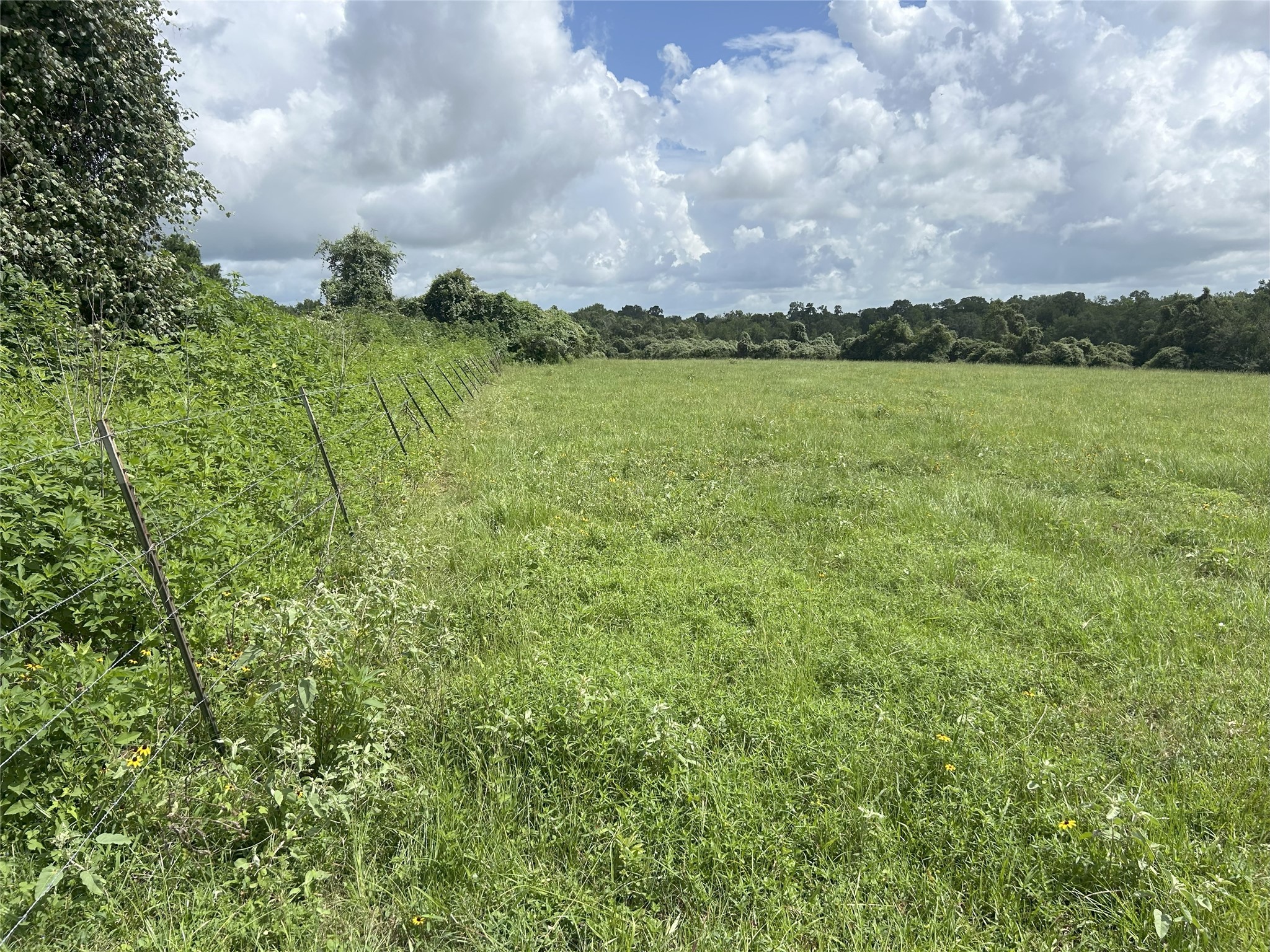 Tbd Holik Road Hempstead, TX 77445 - Photo 33 of 50