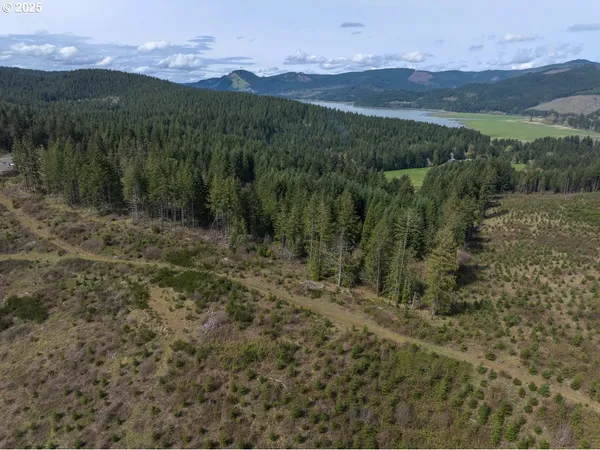 $65,900 | 0 BLM Road 21-2-15, Dorena, OR 97434