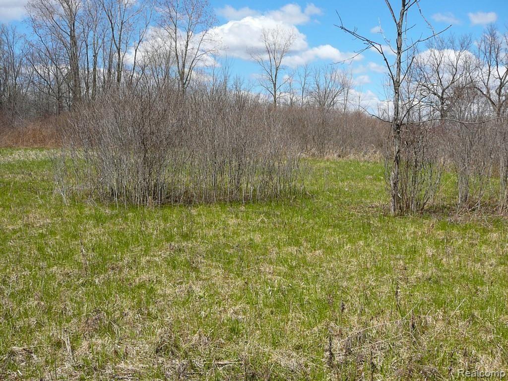 0 Brimley Road West Webberville, MI 48892 - Photo 29 of 36 2015-04-26 12.13