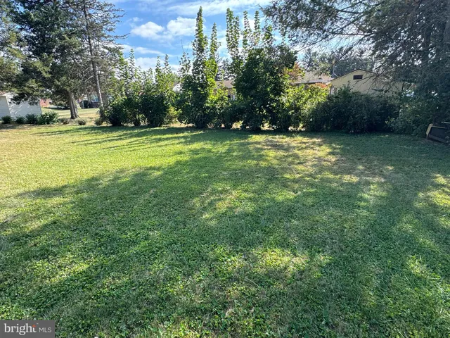 a view of a trees in a yard