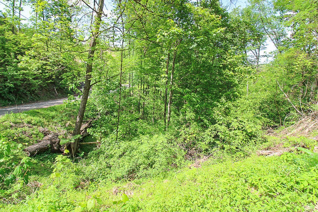 579 Crooked Ridge Road Gatlinburg, TN 37738 - Photo 9 of 24 Gallery Image 9