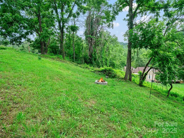a view of a field with a tree