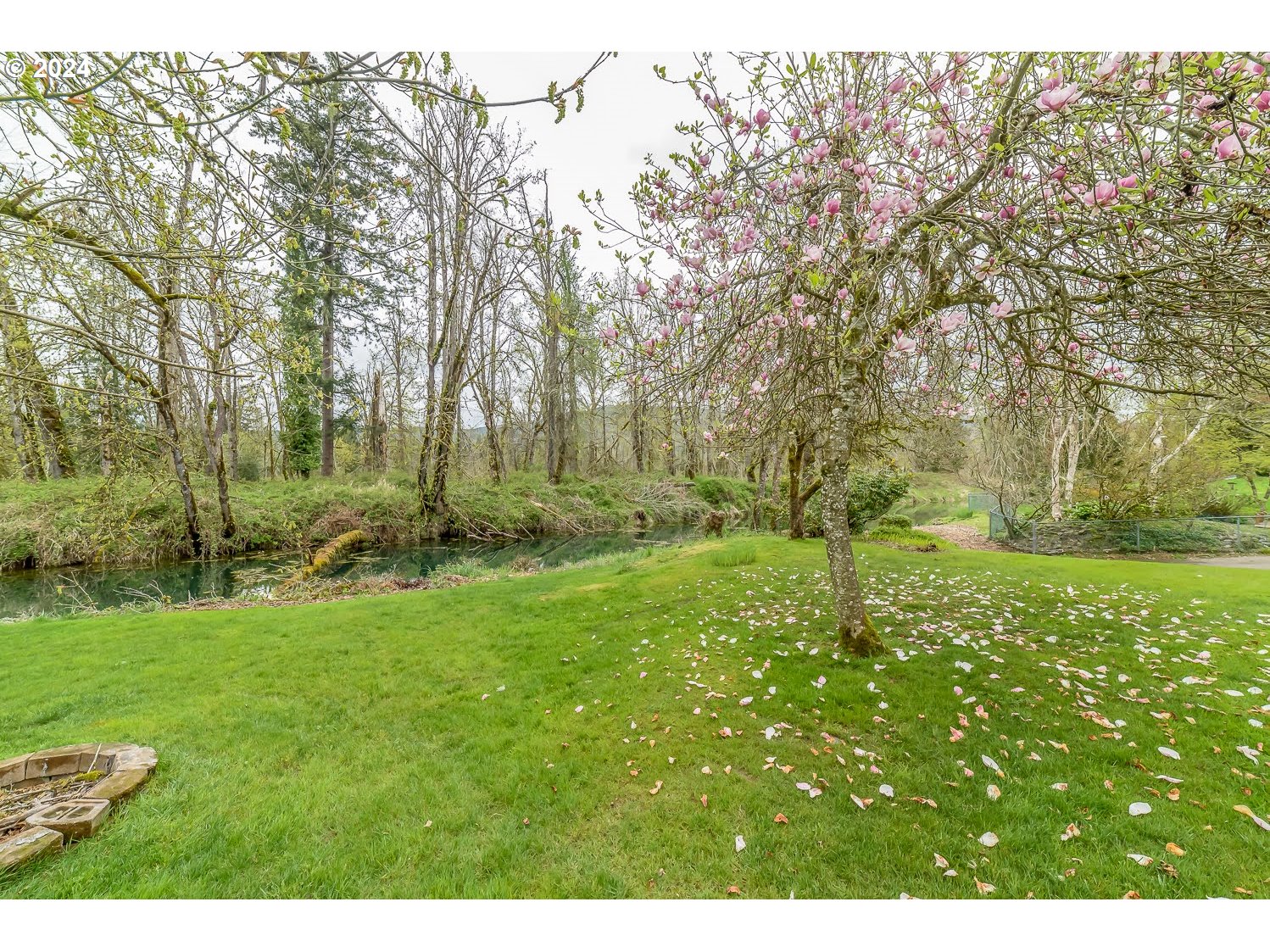 40157 York Lane Springfield, OR 97478 - Photo 33 of 41 a view of backyard with green space