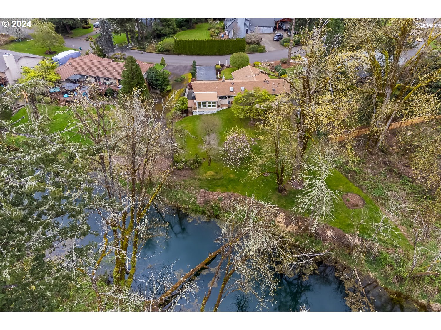 40157 York Lane Springfield, OR 97478 - Photo 40 of 41 a view of a yard with plants and large trees