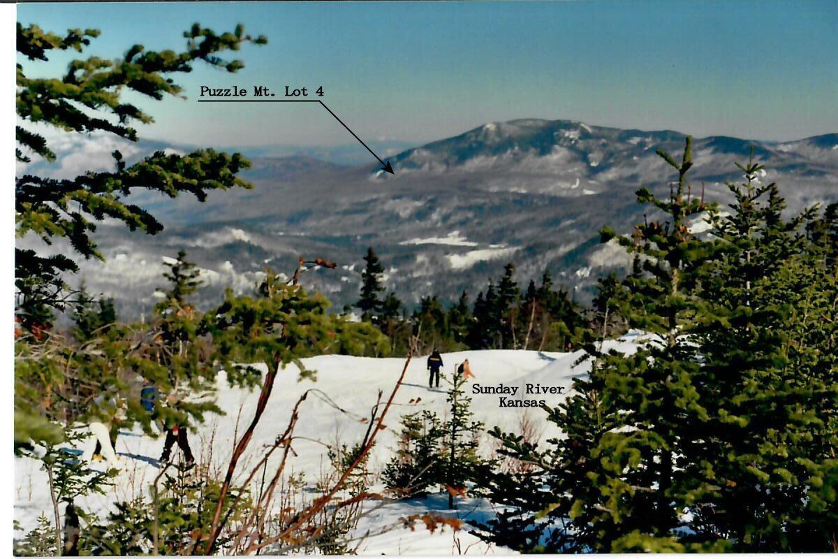 Lot 4 Bear River Road Newry, ME 04261 - Photo 9 of 11 View From SR