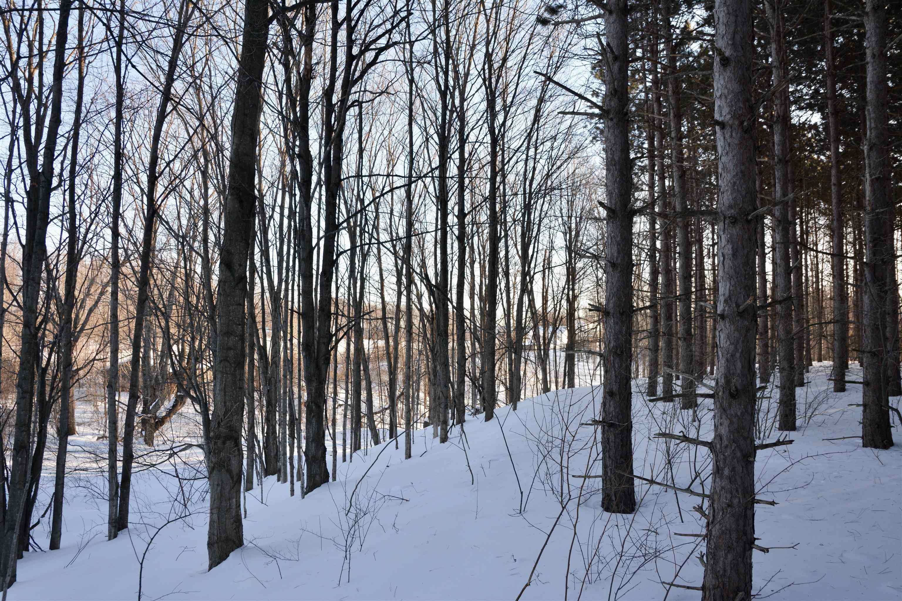 0 South Schomberg Road Cedar, MI 49621 - Photo 46 of 70