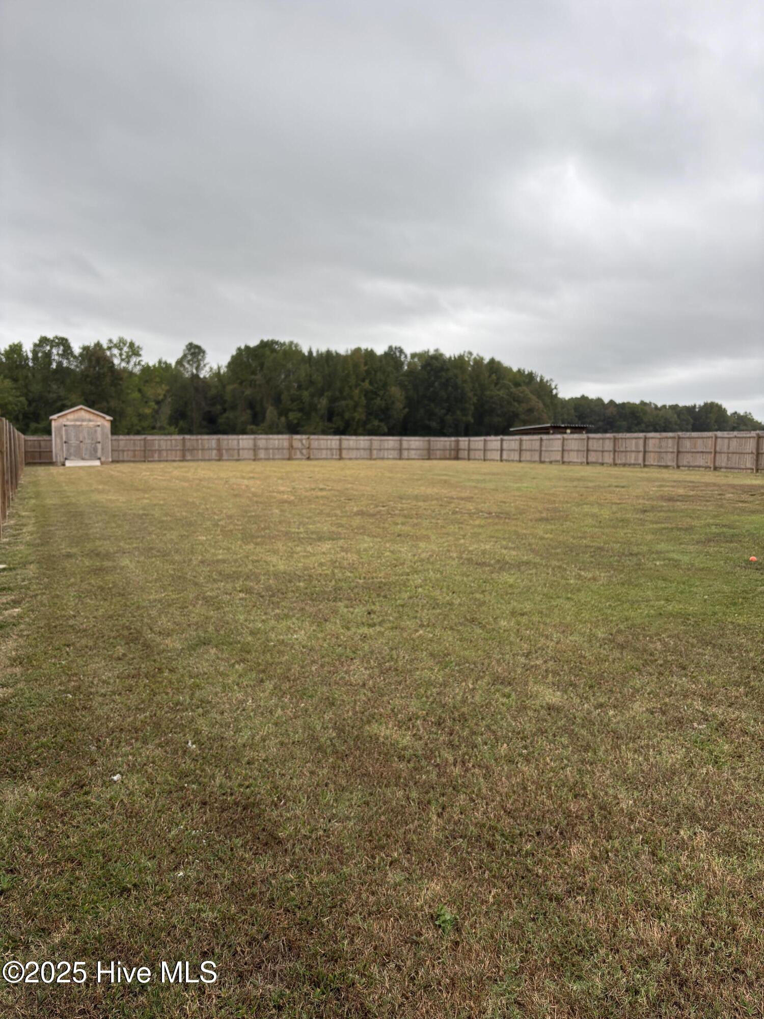 5337 Lloyd Road Lucama, NC 27851 - Photo 15 of 15 back yard, fenced in with shed