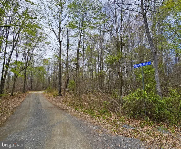 a backyard of a house with lots of green space and chair