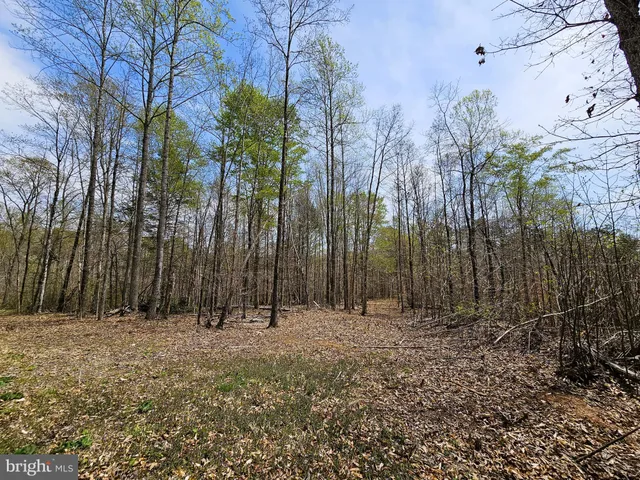 a view of outdoor space with trees