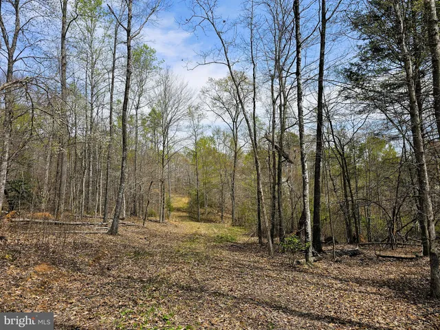 a backyard of a house with lots of trees