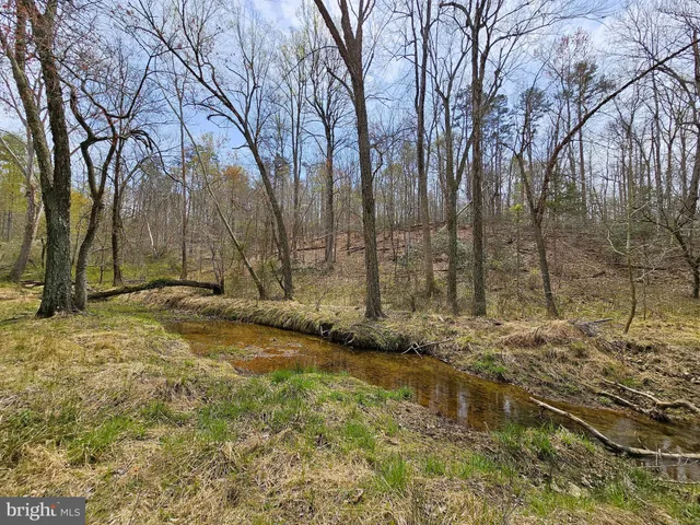 a view of backyard of house
