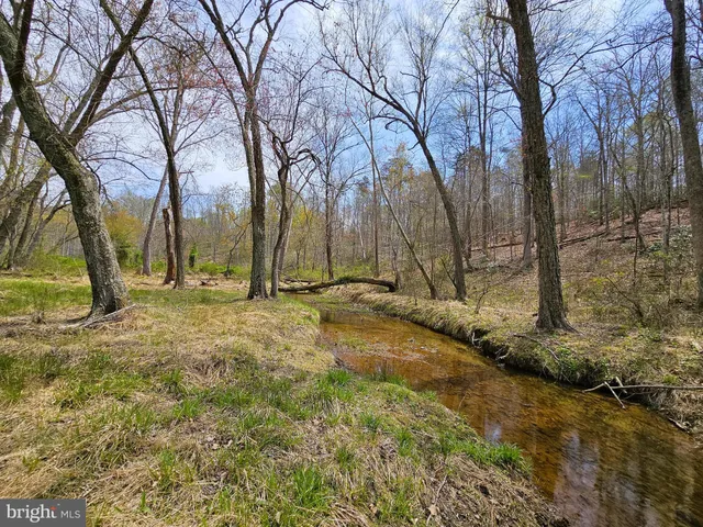 a view of backyard space