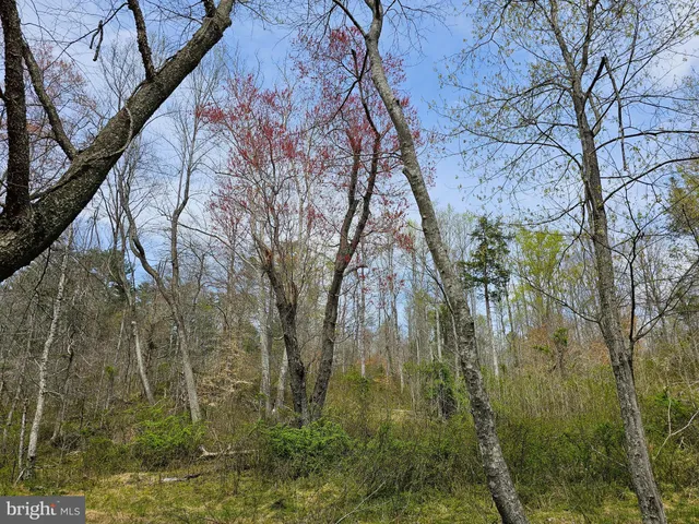 a backyard of a building