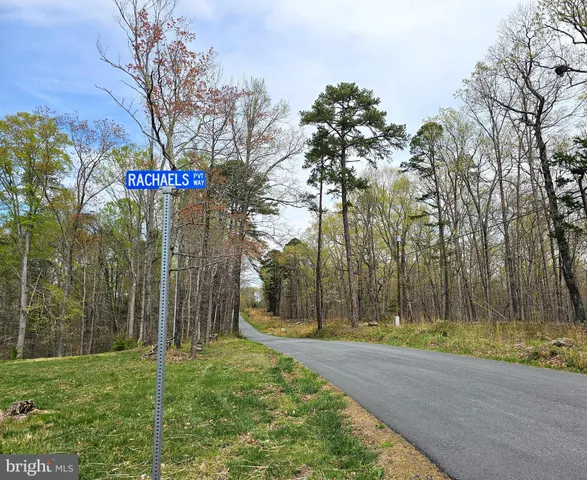 a street sign under a large tree