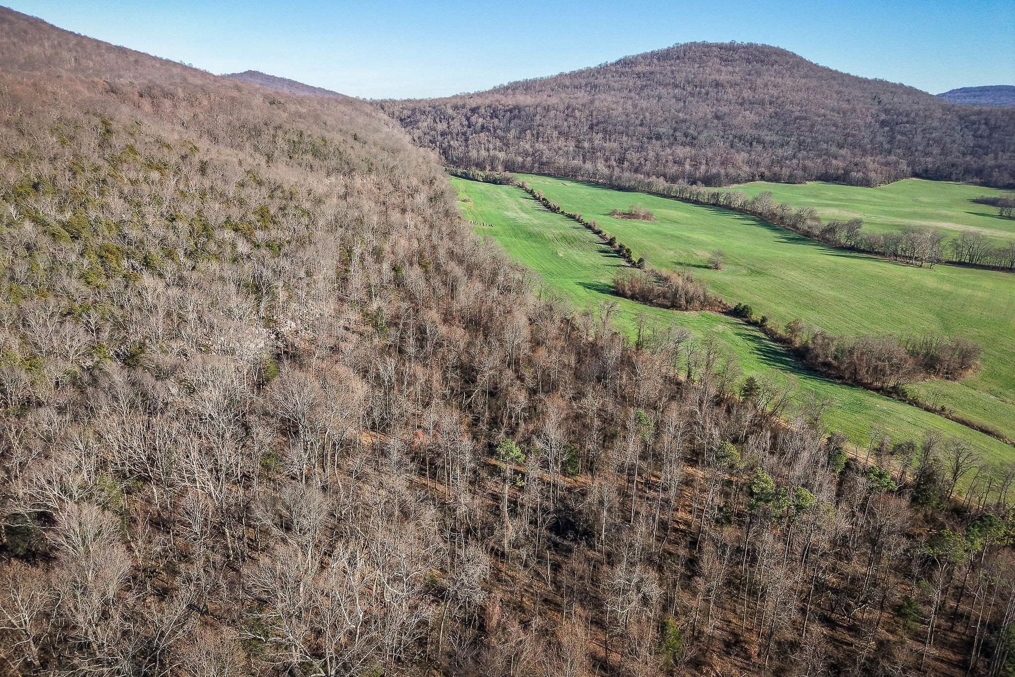 505 Thaxton Road McMinnville, TN 37110 - Photo 17 of 31 a view of a field with a mountain in the background