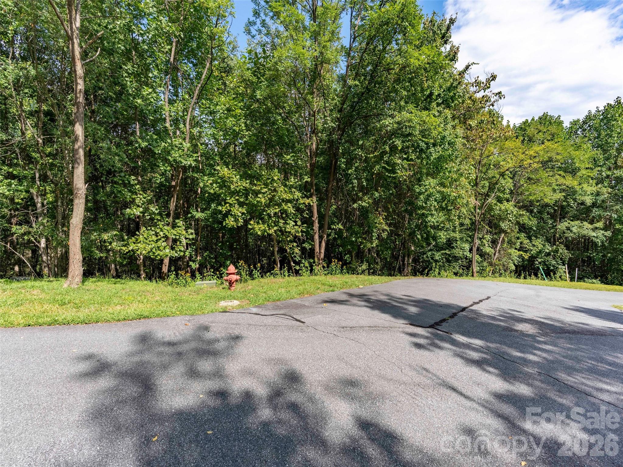 0 Deep Gap Farm Road East, Unit 2040 Mill Spring, NC 28756 - Photo 1 of 8 Gallery Image 1