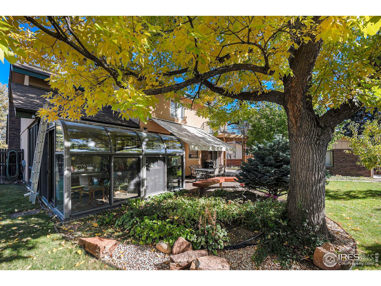 2713 Beech Way Longmont, CO 80503 - Photo 32 of 36 a view of a building with a tree in a yard