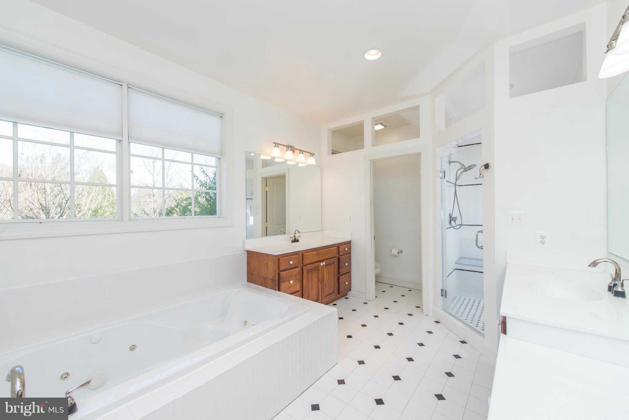 882 Pleasant Ridge Lane Davidsonville, MD 21035 - Photo 15 of 30 Bath (Master)