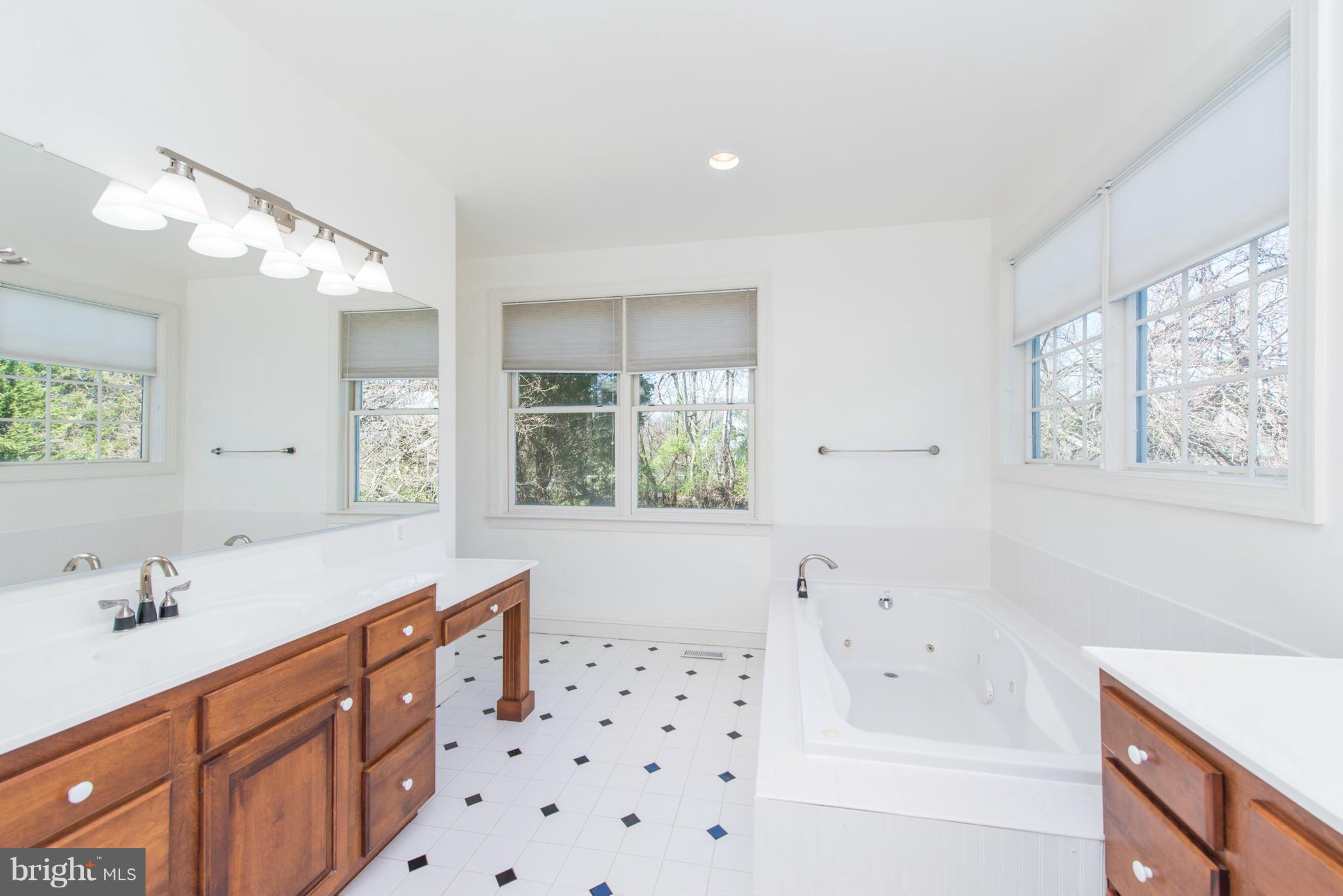 882 Pleasant Ridge Lane Davidsonville, MD 21035 - Photo 16 of 30 Bath (Master)