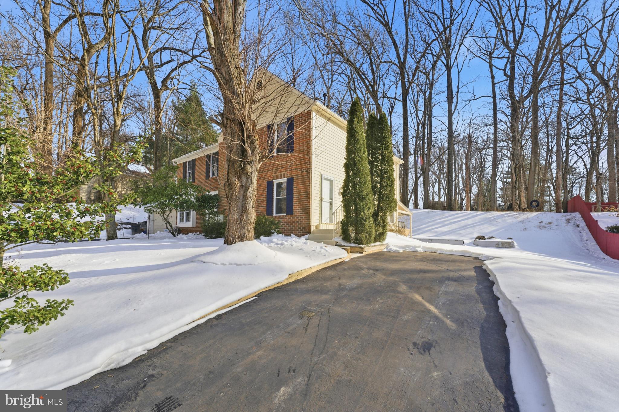 14629 Sandy Ridge Road Silver Spring, MD 20905 - Photo 3 of 47 a pathway of a house with a yard and large trees