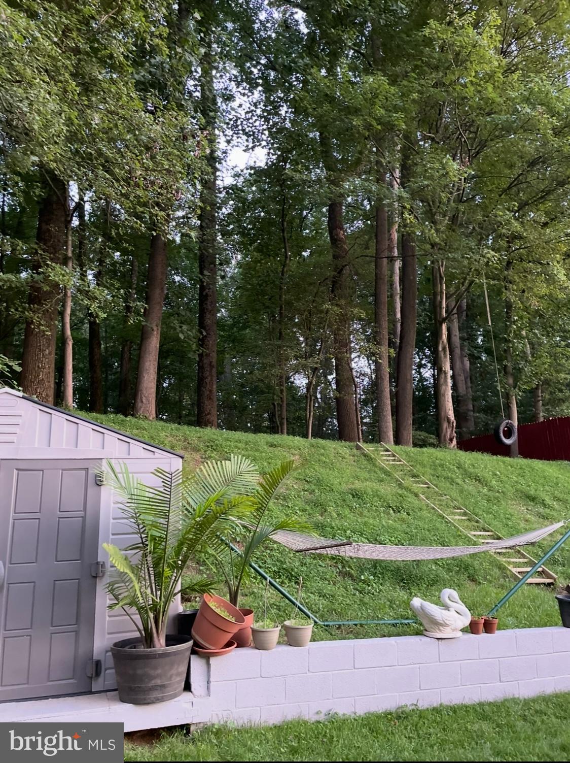 14629 Sandy Ridge Road Silver Spring, MD 20905 - Photo 40 of 47 a view of a backyard with plants and palm trees
