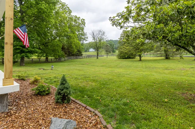 a view of a park with large trees