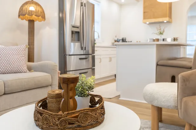 a living room with furniture and a potted plant