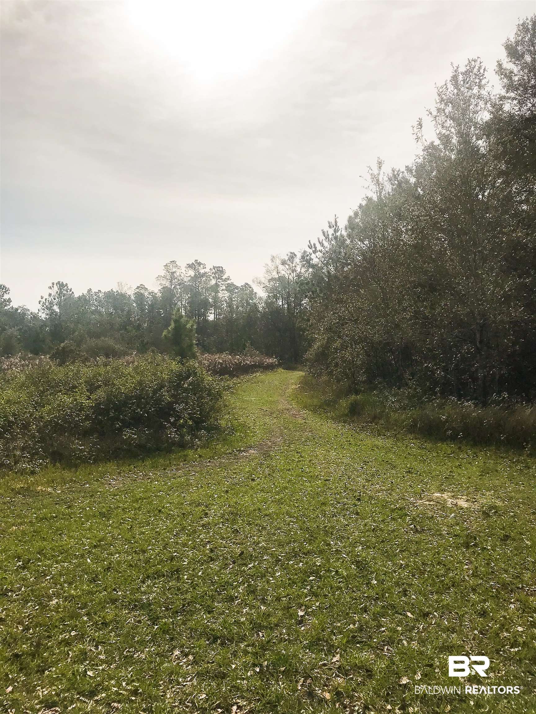 0 Steadham Lane Robertsdale, AL 36567 - Photo 7 of 24
