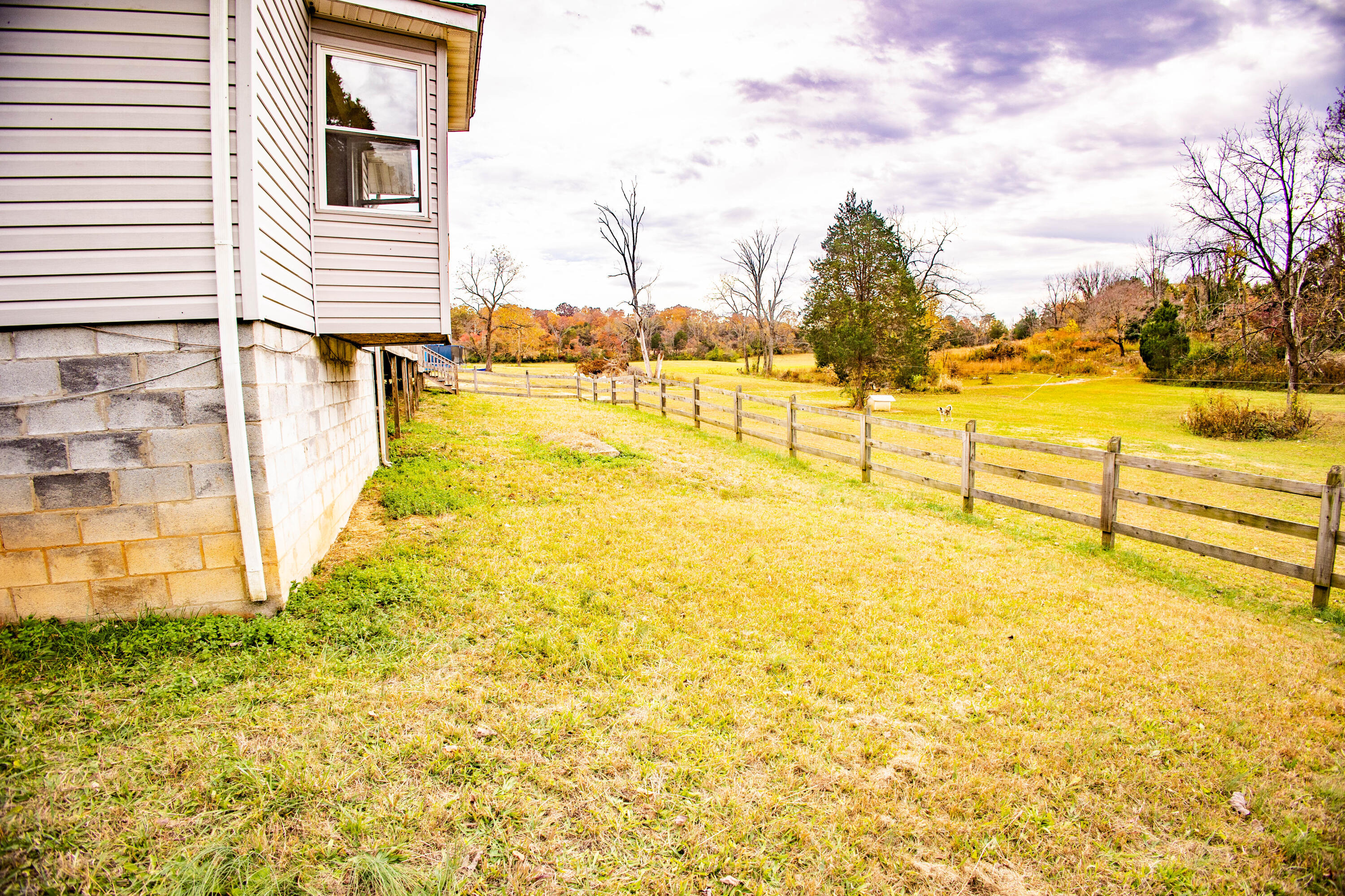 433 Coomer Road Burnside, KY 42519 - Photo 9 of 108 Coomer9