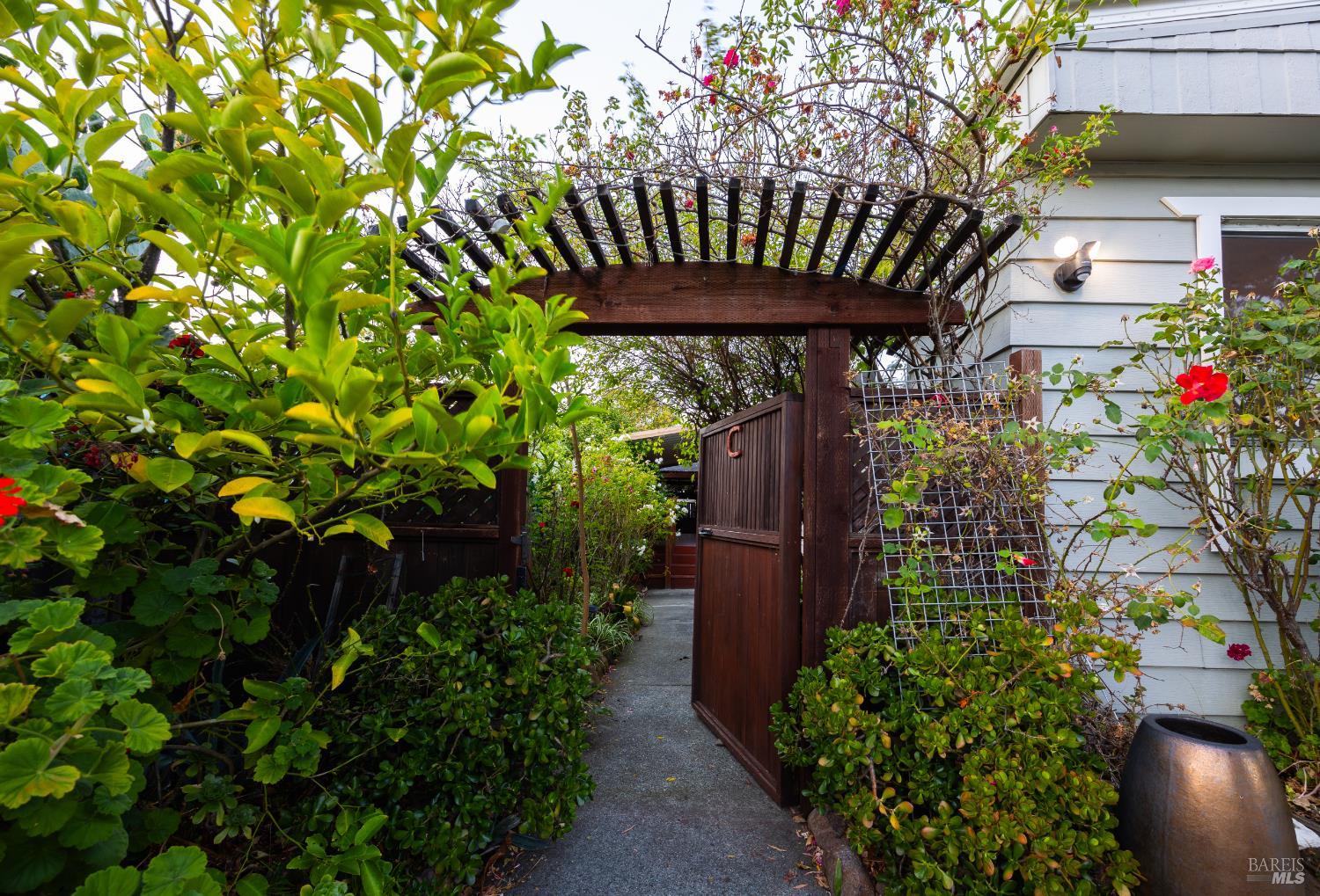 275 Carlsbad Court San Rafael, CA 94903 - Photo 5 of 32 a view of a backyard with plants