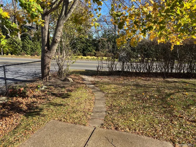 a view of backyard with tree