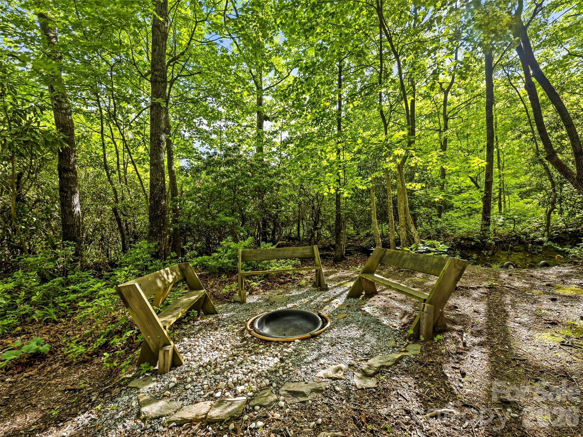 29 Panther Ridge Road Brevard, NC 28712 - Photo 42 of 48