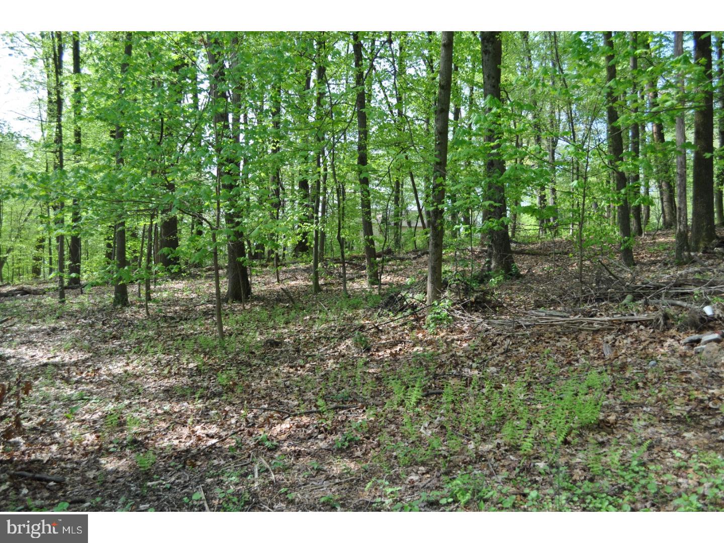 473 Conestoga Road, Unit LOT 2 Malvern, PA 19355 - Photo 1 of 1 Gallery Image 1
