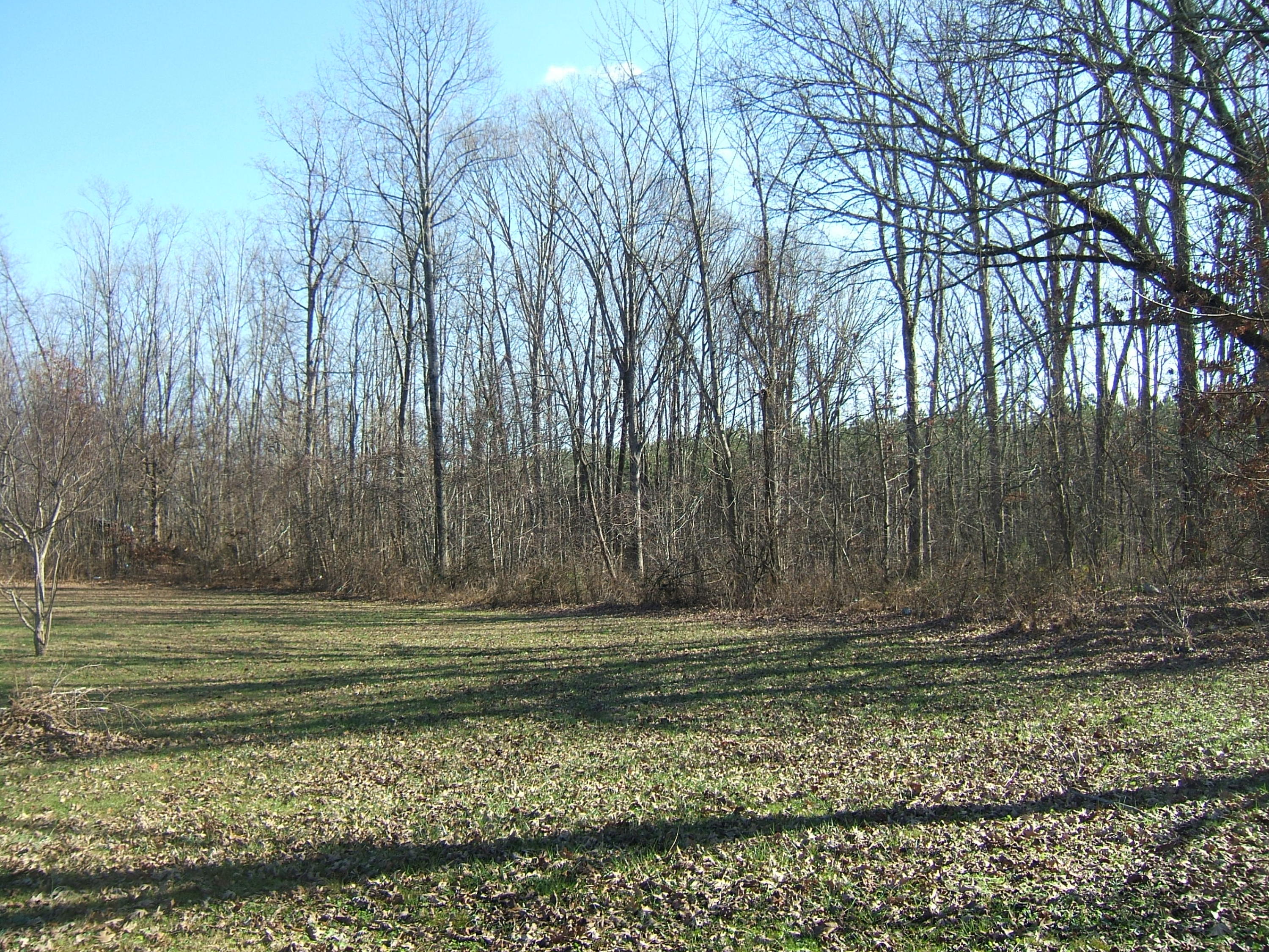 107 Stooping Oak Road Dunlap, TN 37327 - Photo 5 of 12 DSCF9849