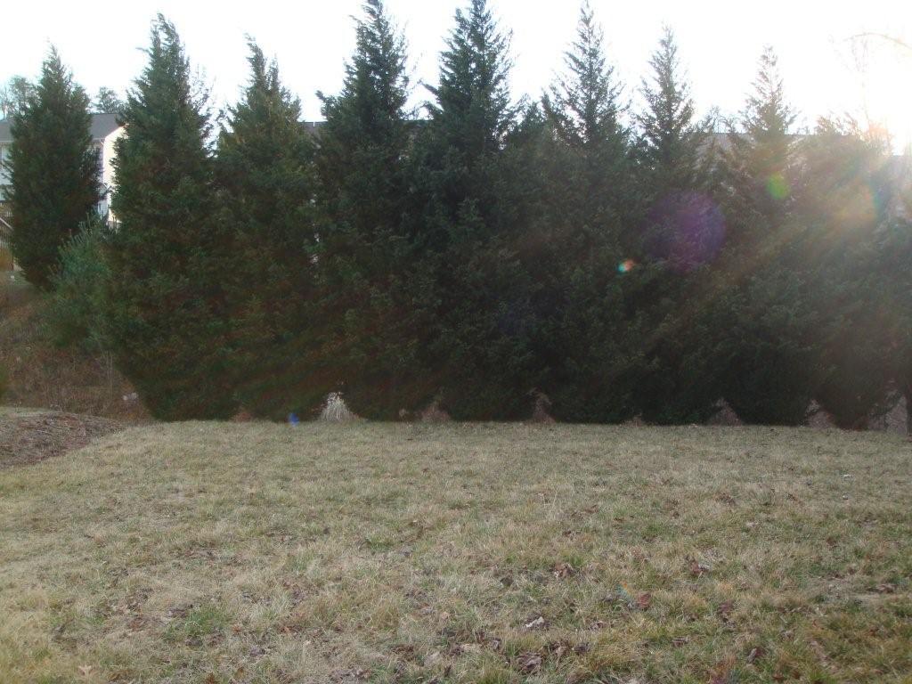 4801 Keagy Road Roanoke, VA 24018 - Photo 33 of 35 215