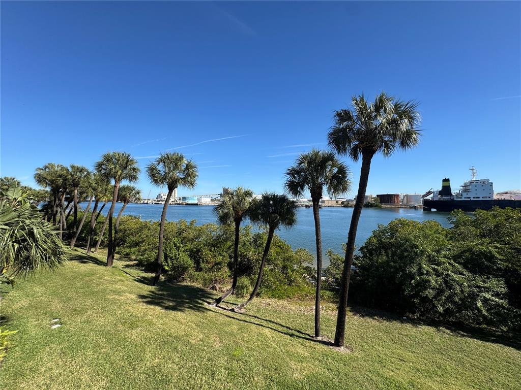 1420 Harbour Walk Road Tampa, FL 33602 - Photo 2 of 75