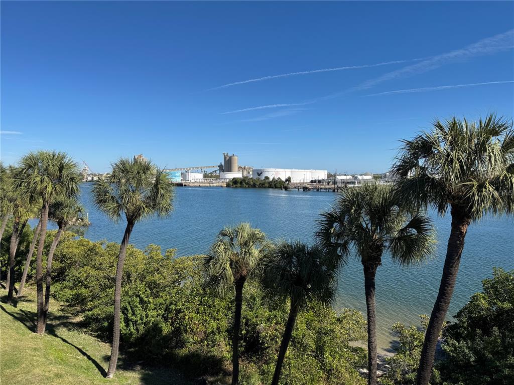 1420 Harbour Walk Road Tampa, FL 33602 - Photo 25 of 75